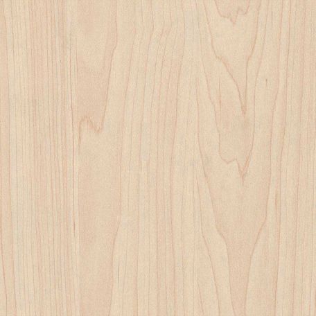 Maple Plywood