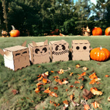 Halloween Boxes